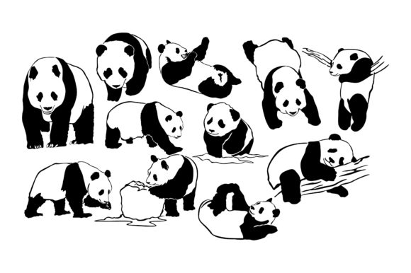 Download Adorable Panda Vector Collection - Adorable panda Collection