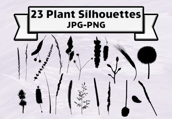 Download Botanical Plant Illustration Art Set - Plant illustration Collection