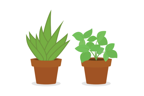Download Plant Illustration - Premium Resources