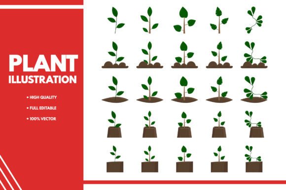 Download 25 Plant Illustration - Plant illustration Collection