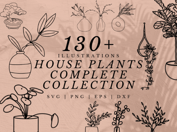 Download 130+ House Plant Illustration SVGs - Plant illustration Collection